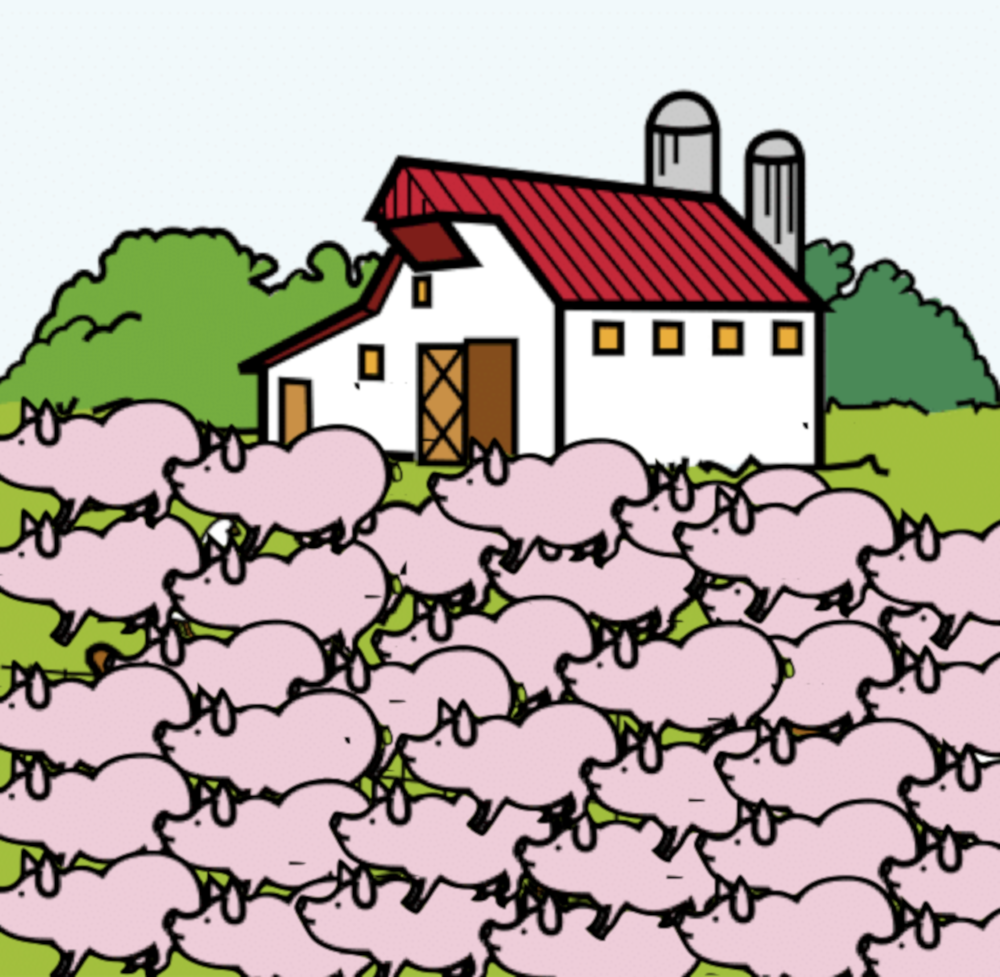 Granxa onde crían moítisimos porcos, demasiados para ese espazo.