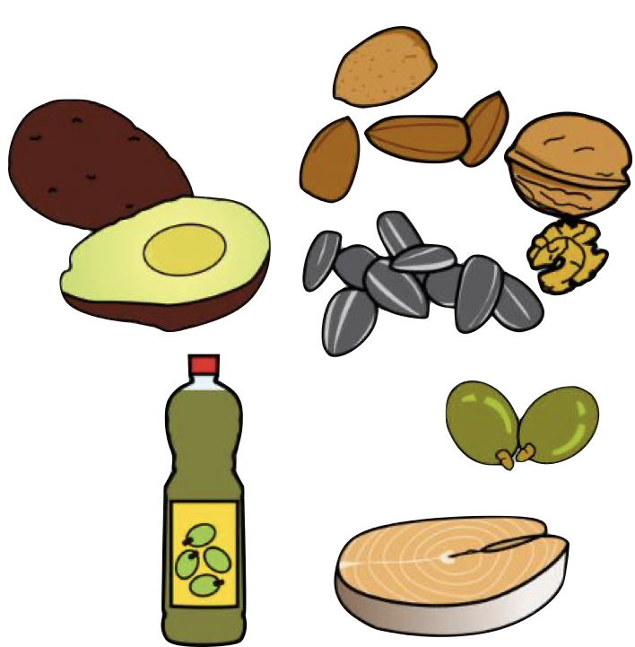 Alimentos ricos en grasas insaturadas: aguacate, froitos secos, aceite...