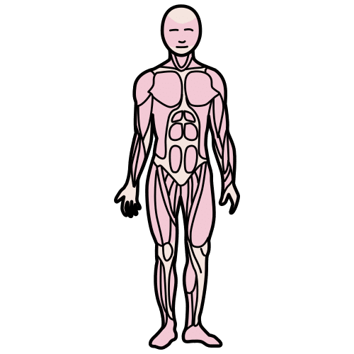 Pictograma sobre os músculos do corpo humano