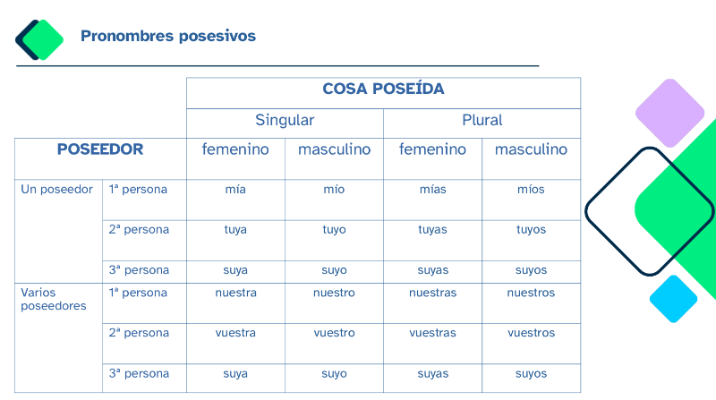 Pronombres posesivos