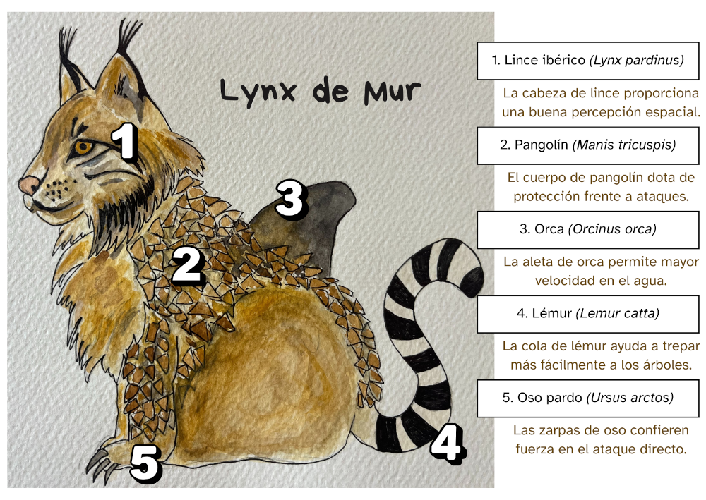 Esquema de la carta Lynx de Mur