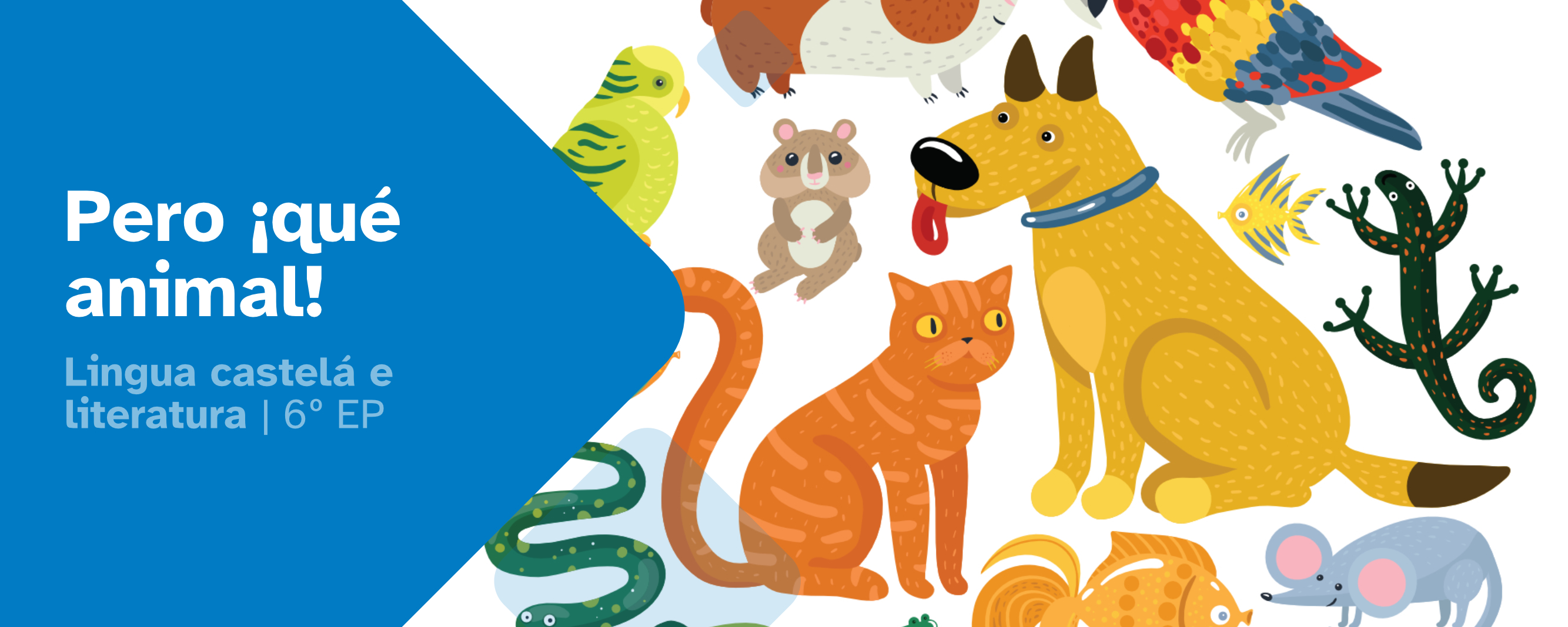 Portada REA07 de Lingua Castelá e Literatura de 6º de Primaria