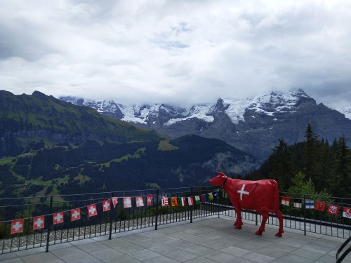 Mirador montañas suizas