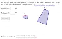 Identifying and Measuring Corresponding Sides of Similar Figures