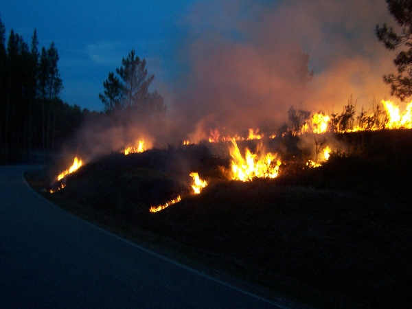 Fuego al lado de una carretera de noche