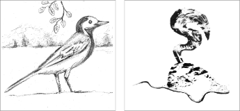 Forma figurativa e abstracta