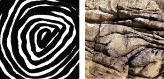 Textura visual e tactil