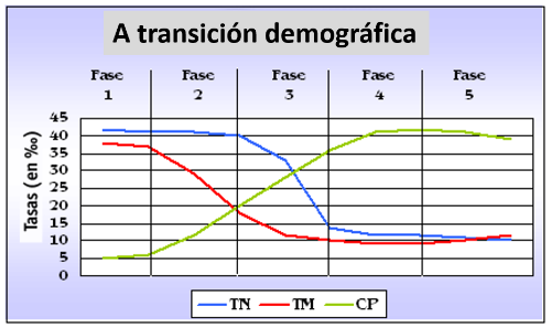 Fases do modelo de transición demográfica