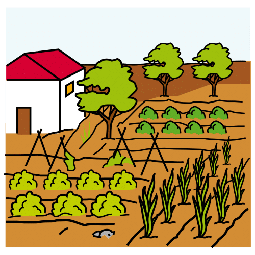 Pictogama de zona de cultivo