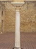 Columna Medina Azahara (cREAgal)