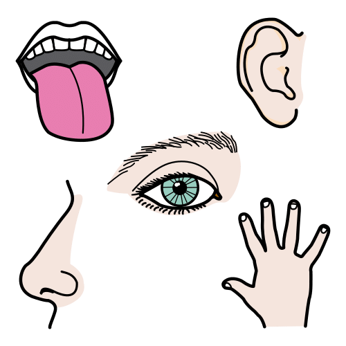 Pictograma sentidos