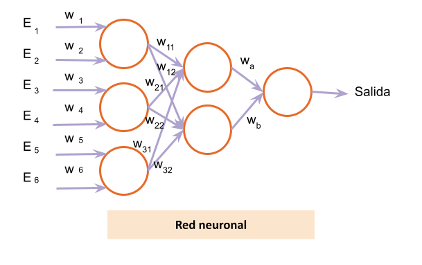 Red neuronal formada por neuronas que se conectan entre sí
