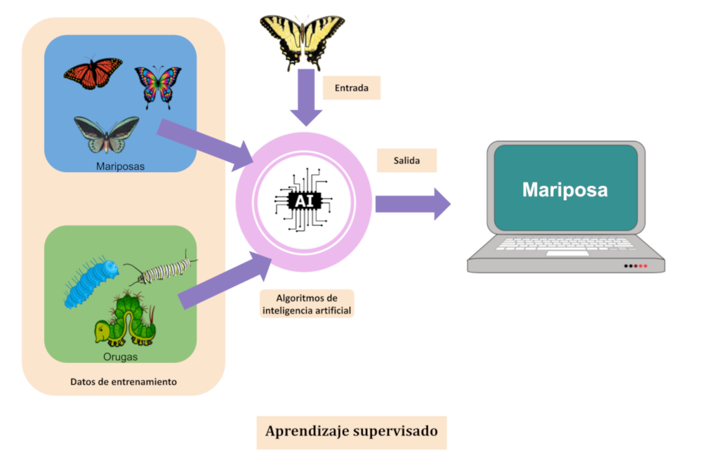 Gráfico donde se muestra como a través del entrenamiento de categorías se entrena una IA para detetar objetos