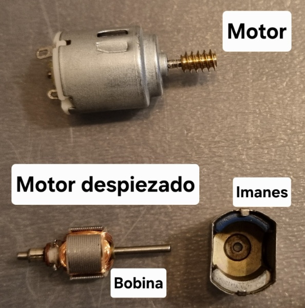Fotografía de un pequeño motor eléctrico abierto en el que se ven sus partes