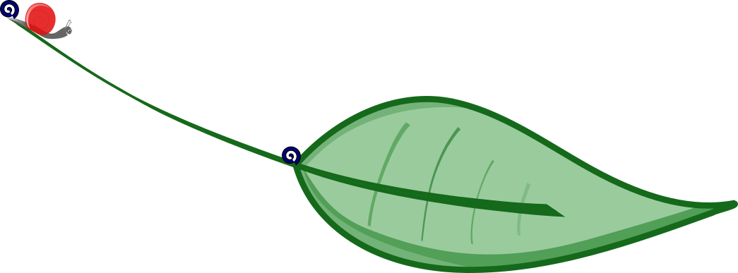 Caracol desplazándose por una rama para llegar a una hoja