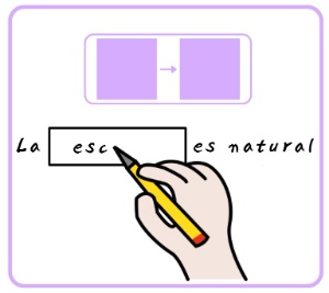 Rellenar los datos de escalas