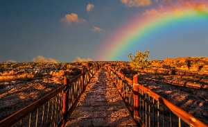 Fotografía dun camiño que se perde na distancia e ao fondo un arco da vella no ceo que case non ten nubes.
