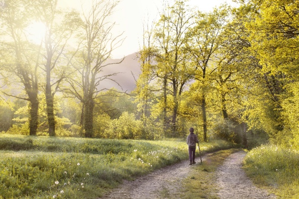 Imaxe dun home nun camiño que atravesa un bosque. É a imaxe coa que empeza o REA e funciona como metáfora do inicio