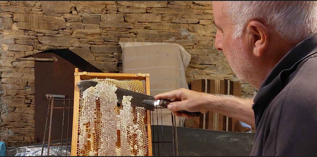 Desoperculando un panal