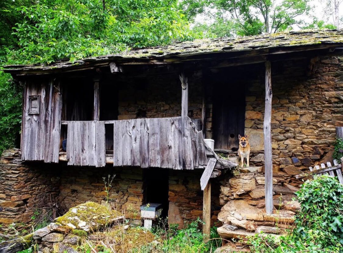 Patín, interior de Lugo