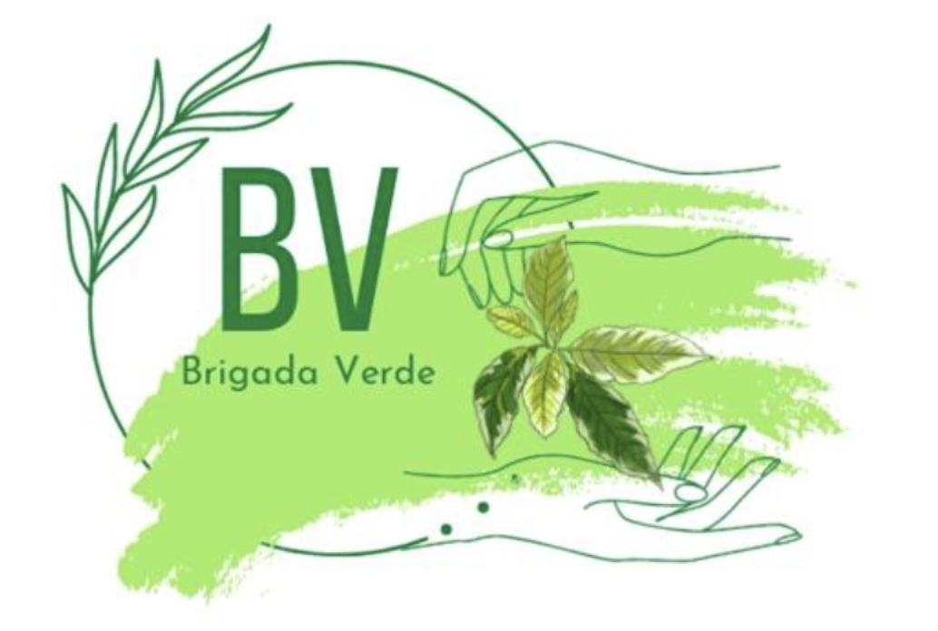 Equipo Brigada Verde