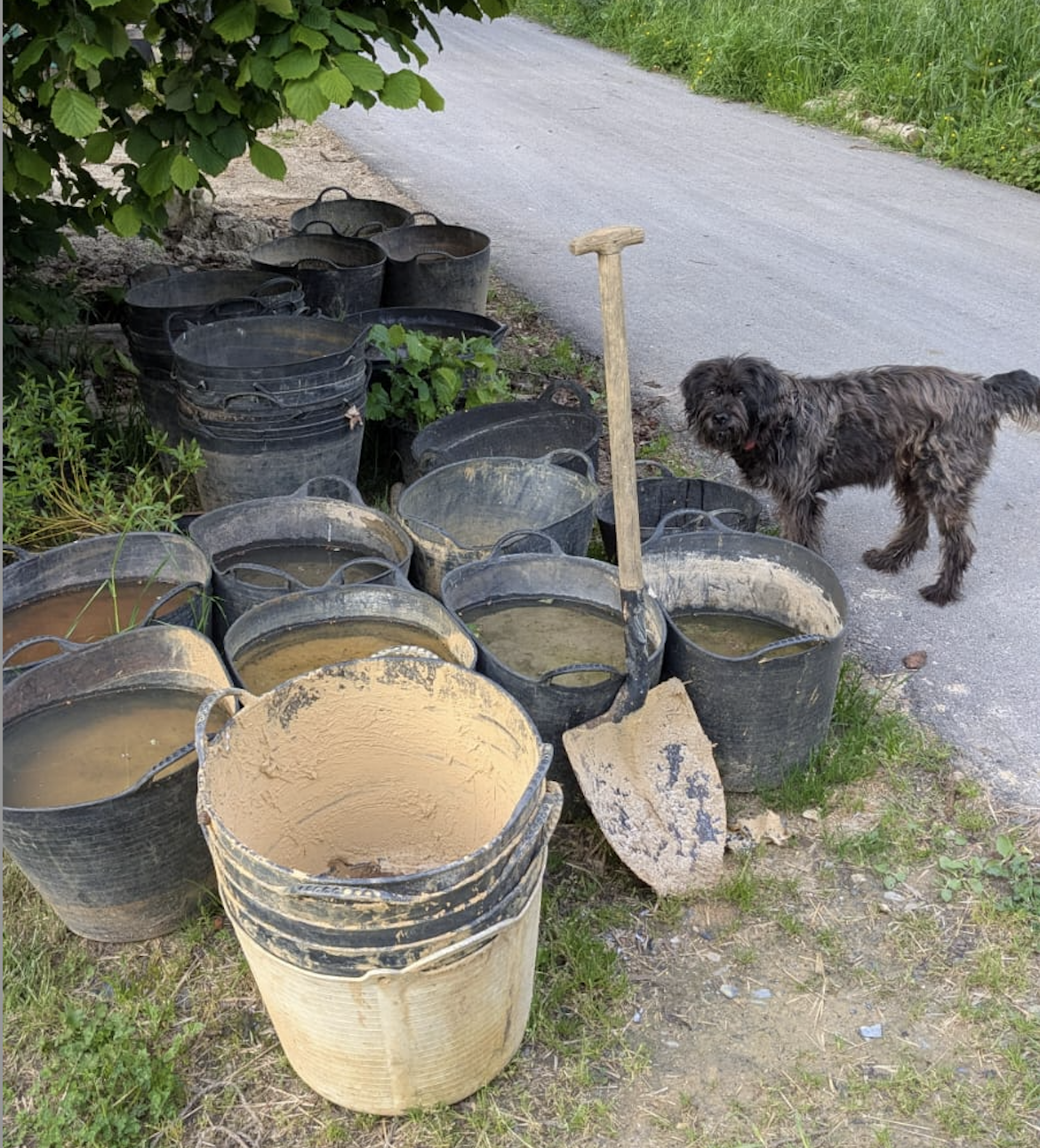 Capachos con adobe e palla