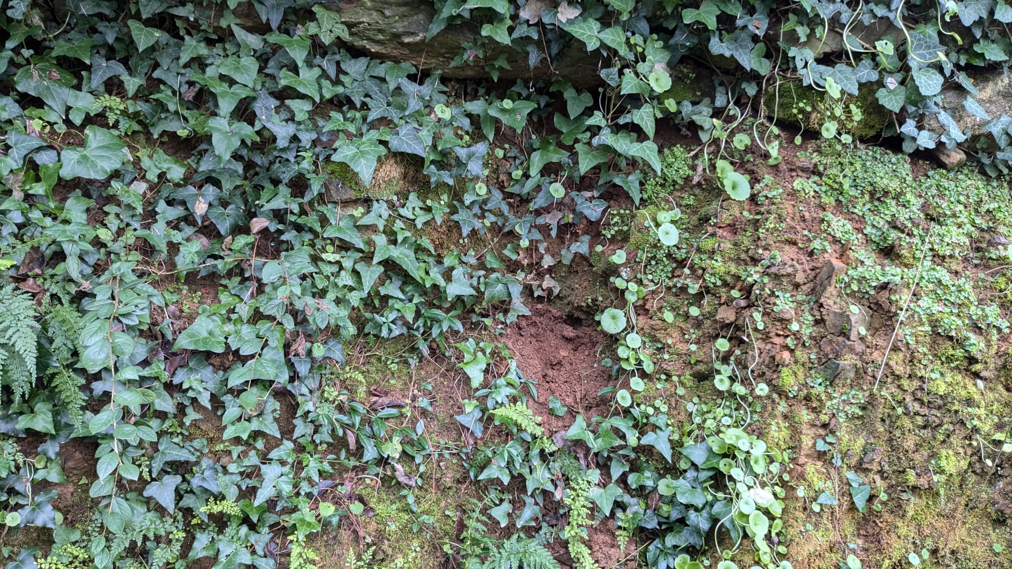 Detalle cova romana en Verín