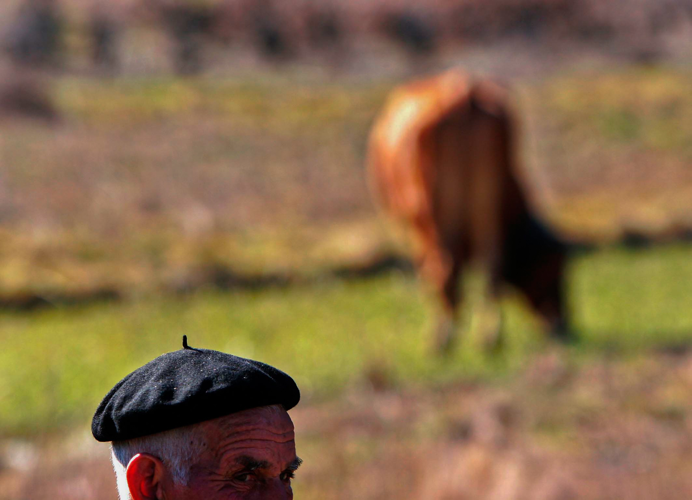 Persoa maior en ambiente rural