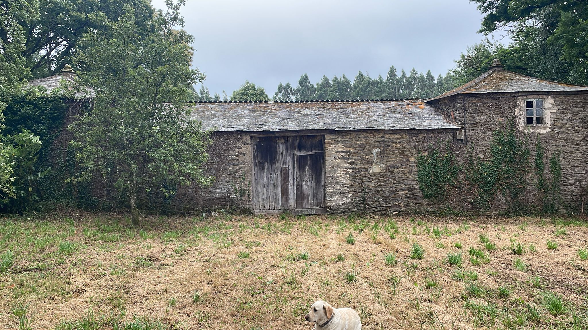Casa antiga de labranza en Castro de Rey, xisto