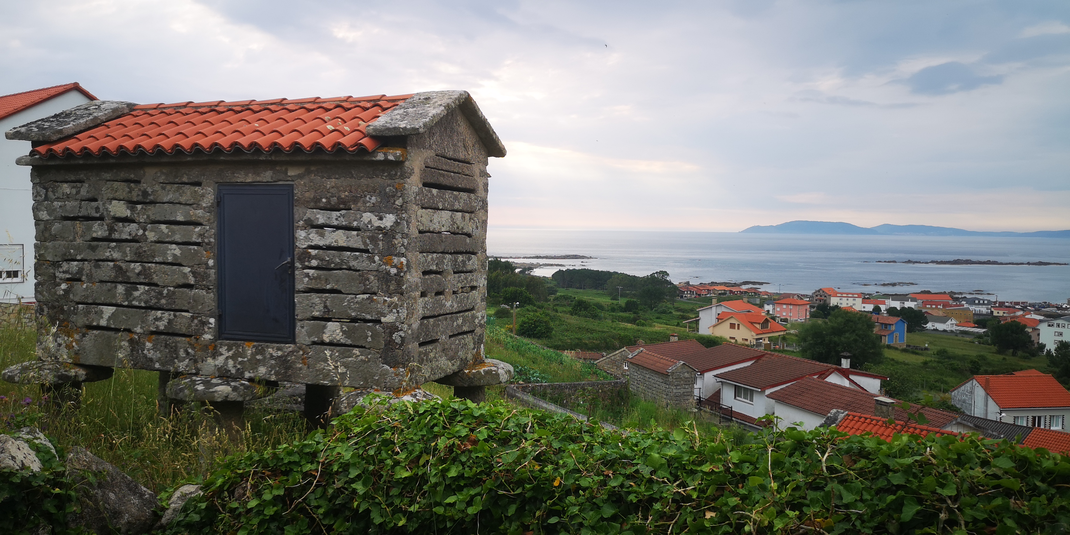 Lira desde o "rueiro"