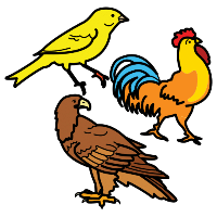 Imaxe de diferentes animais