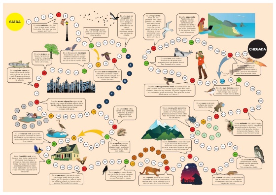 Xogo sobre contaminación luminosa