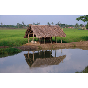 Gandería, cultivo e pesca.
