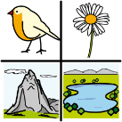 Icona que amosa elementos dun ecosistema