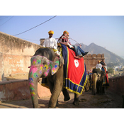 Elefante medio de transporte