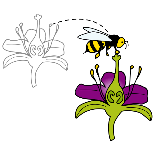 Imaxe dunha abella saltando de flor en flor