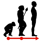 A evolución do ser humano