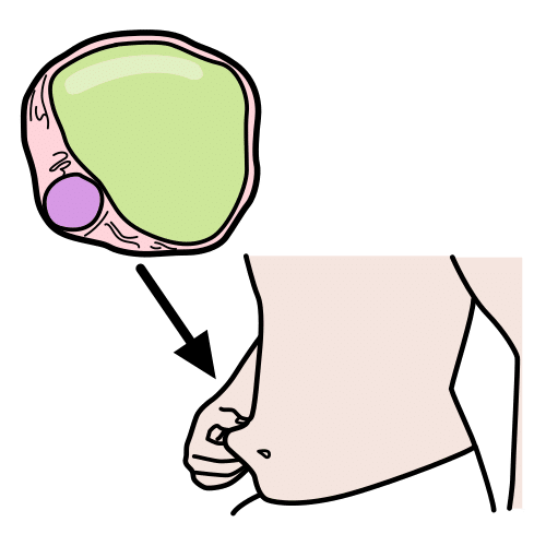 Pictograma que representa a graxa