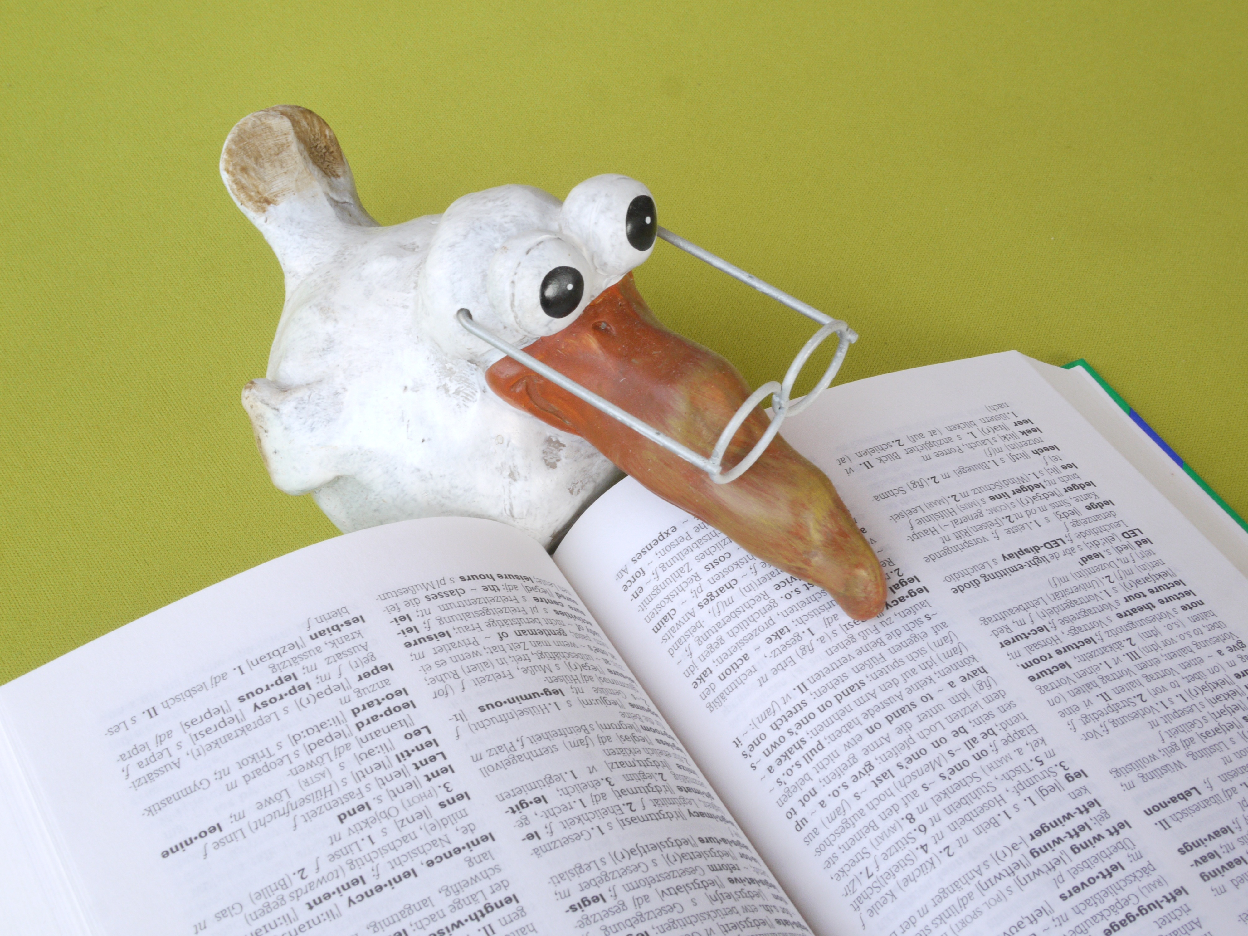 Dicionario ilustrado