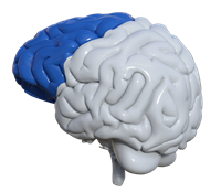 Icono redes estratégicas DUA