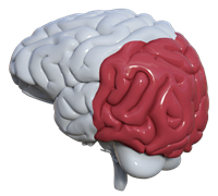 Icono redes de conocimiento DUA