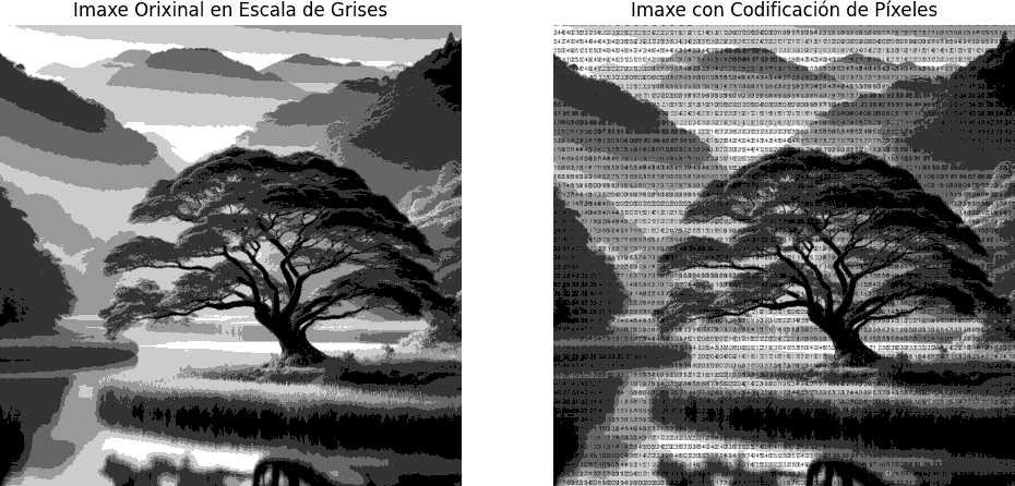 Codificación numérica dunha imaxe en branco e negro