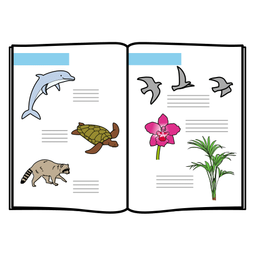 Pictograma que representa un folleto de flora e fauna dun lugar