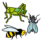 Pictograma que representa insectos