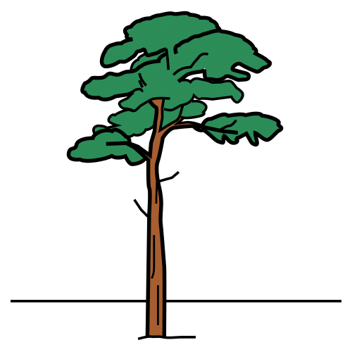 Pictograma de piñeiro