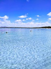 Vista panorámica de una playa