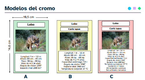 Tres modelos de cromos