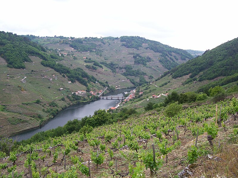 Fotografía do val de Chantada