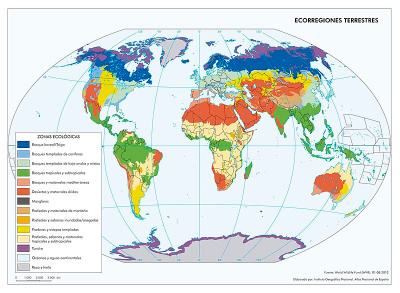 Mapa das ecorrexións do mundo