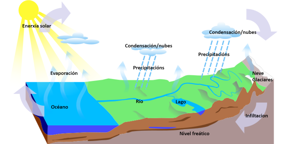 Debuxo do ciclo da auga
